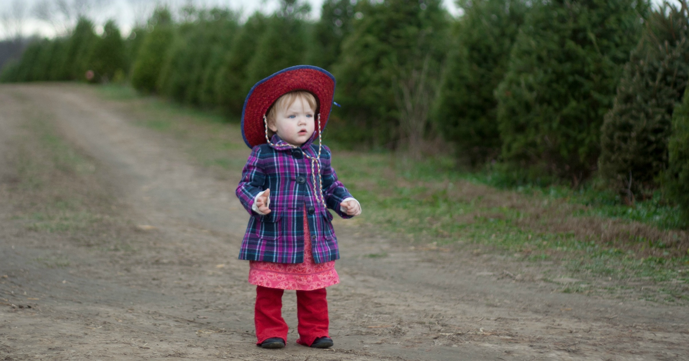 Piney Acres Christmas Tree Farm is a Beautiful Family Adventure | Indy with Kids