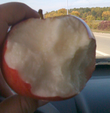 Appleworks: Apple Orchard Fun