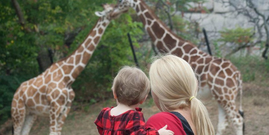 a mother and child watch giraffes at the Indianapolis zoo