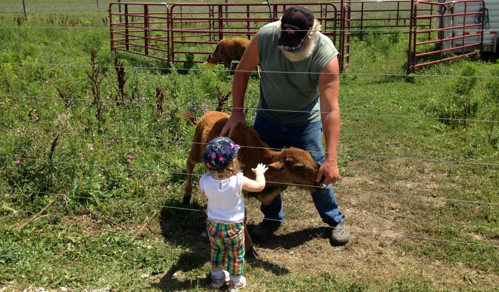 Indiana Dunes Live Broken Wagon Bison Farm