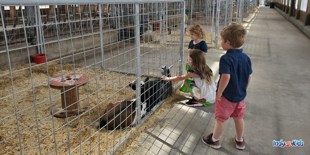 Kelsay Farms has dozens of fun farm activities your kids will love.