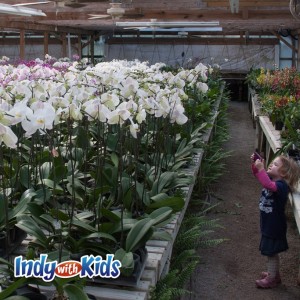 hilltop orchid farm clverdale indiana child taking photos