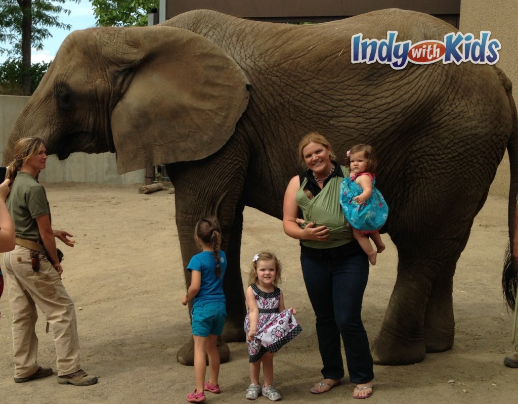 Indianapolis Zoo at White River State Park - Indy with Kids