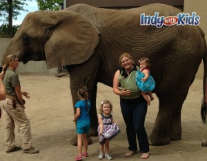 elephant at the indianapolis zoo with kids