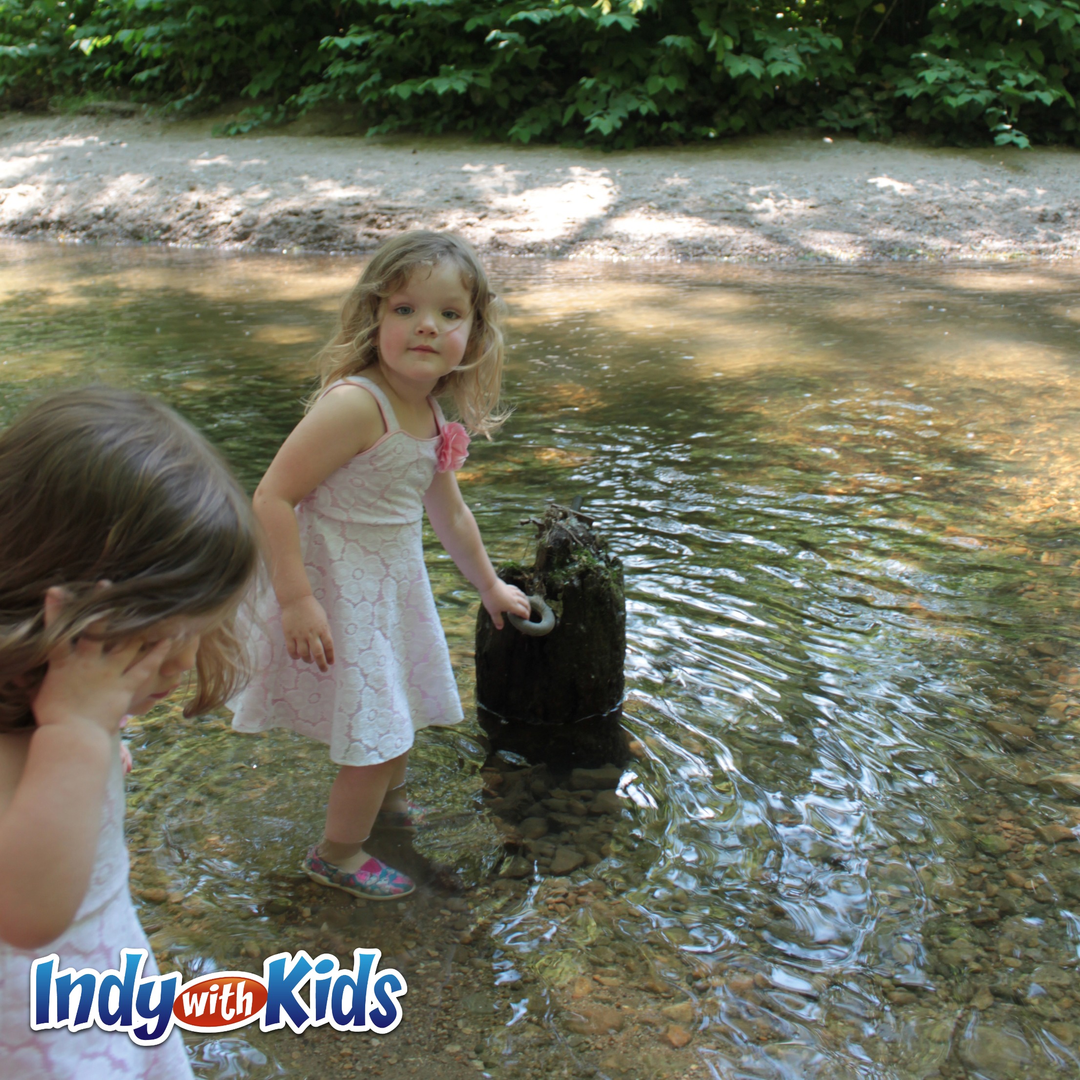 Family Creek Stomp | Holliday Park