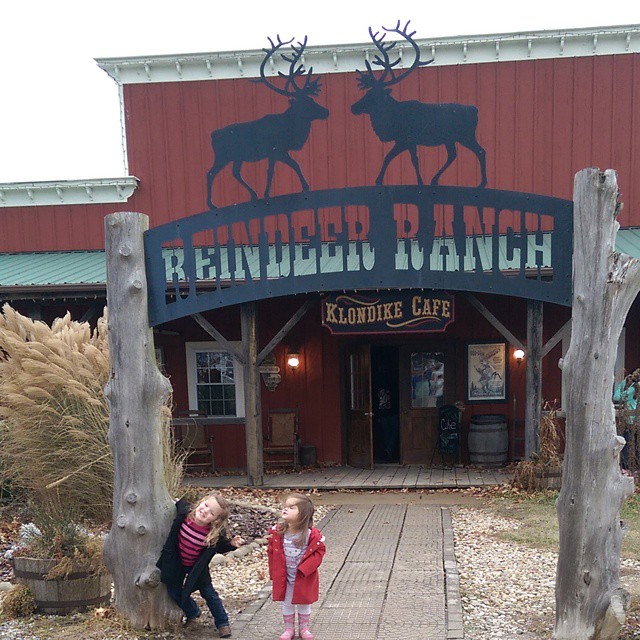 reindeer ranch champaign illinois