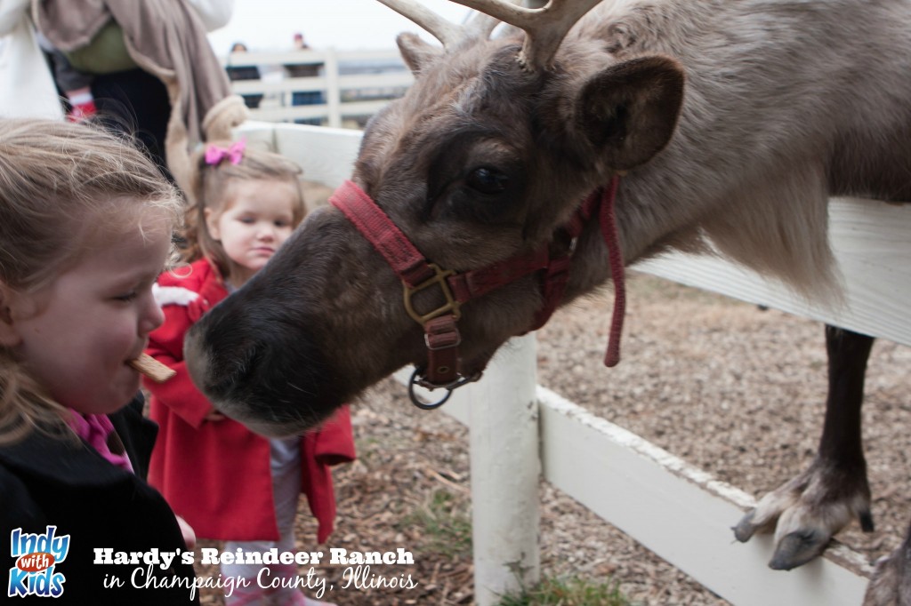 hardys reindeer ranch indy with kids