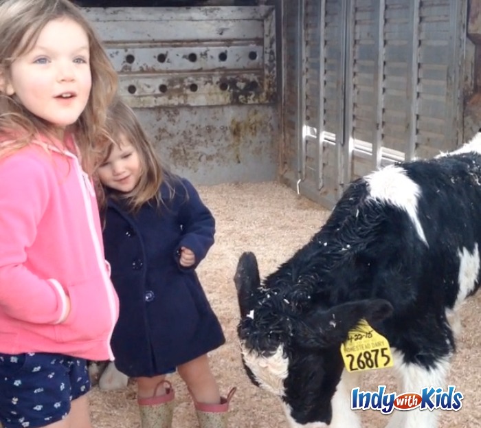 The Smell of Electricity: Indiana Dairy Farming & Technology