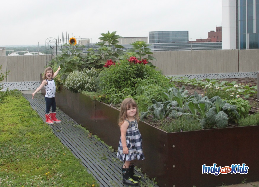 eskenazi health indianapolis city sky farm rooftop garden urban mom kids child