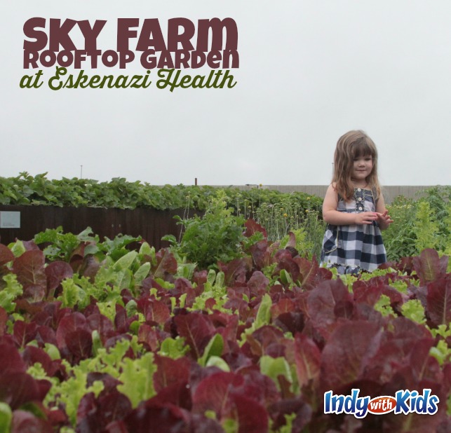 eskenazi health indianapolis city sky farm rooftop garden urban moms kids child