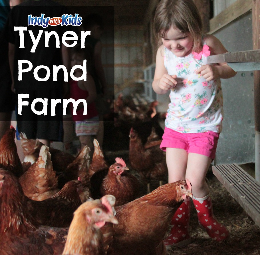 tyner pond farm indy kids city indianapolis moms child