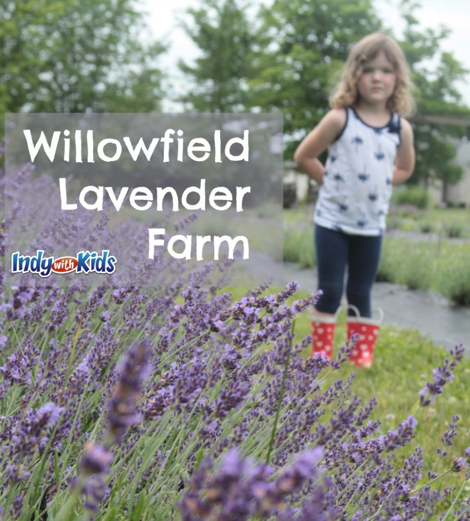 willowfield lavender farm indianapolis moorseville indiana kids city child moms