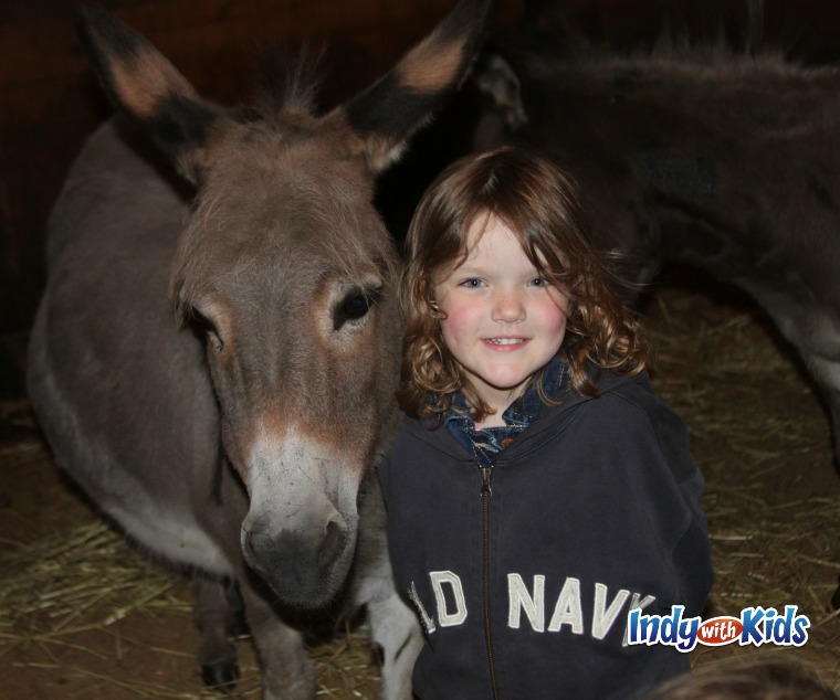 bonnybrook farms clarksville kings island cincinnati ohio family travel donkey