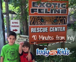 Exotic Feline Rescue Center