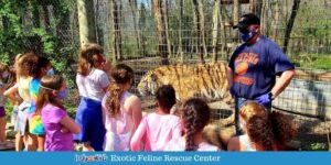 Exotic Feline Rescue Center