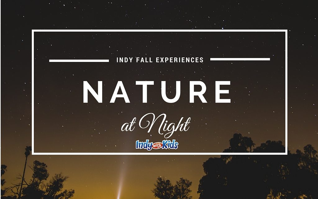 Nature at Night in Indy