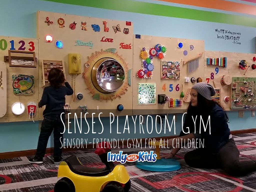 SENSES Playroom Gym