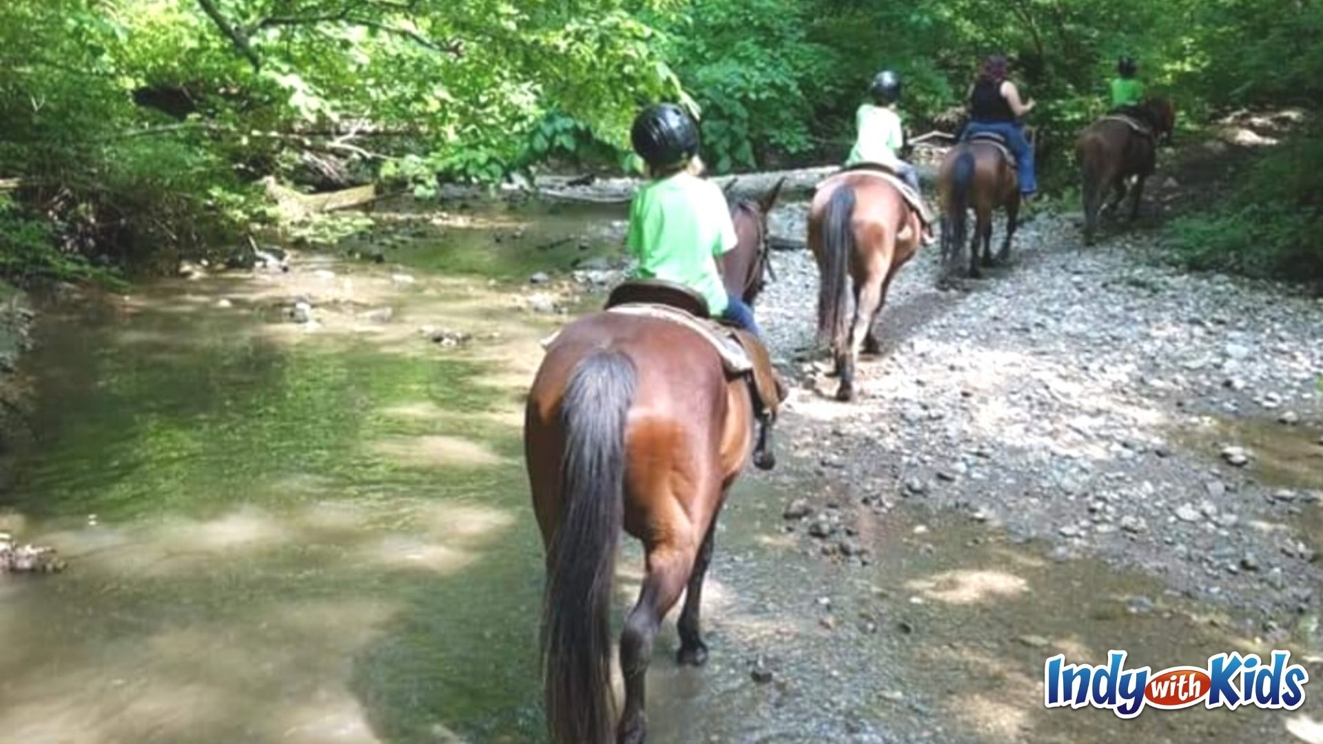 Horses and riders of all ages follow a wooded path through Fort Harrison State Park.