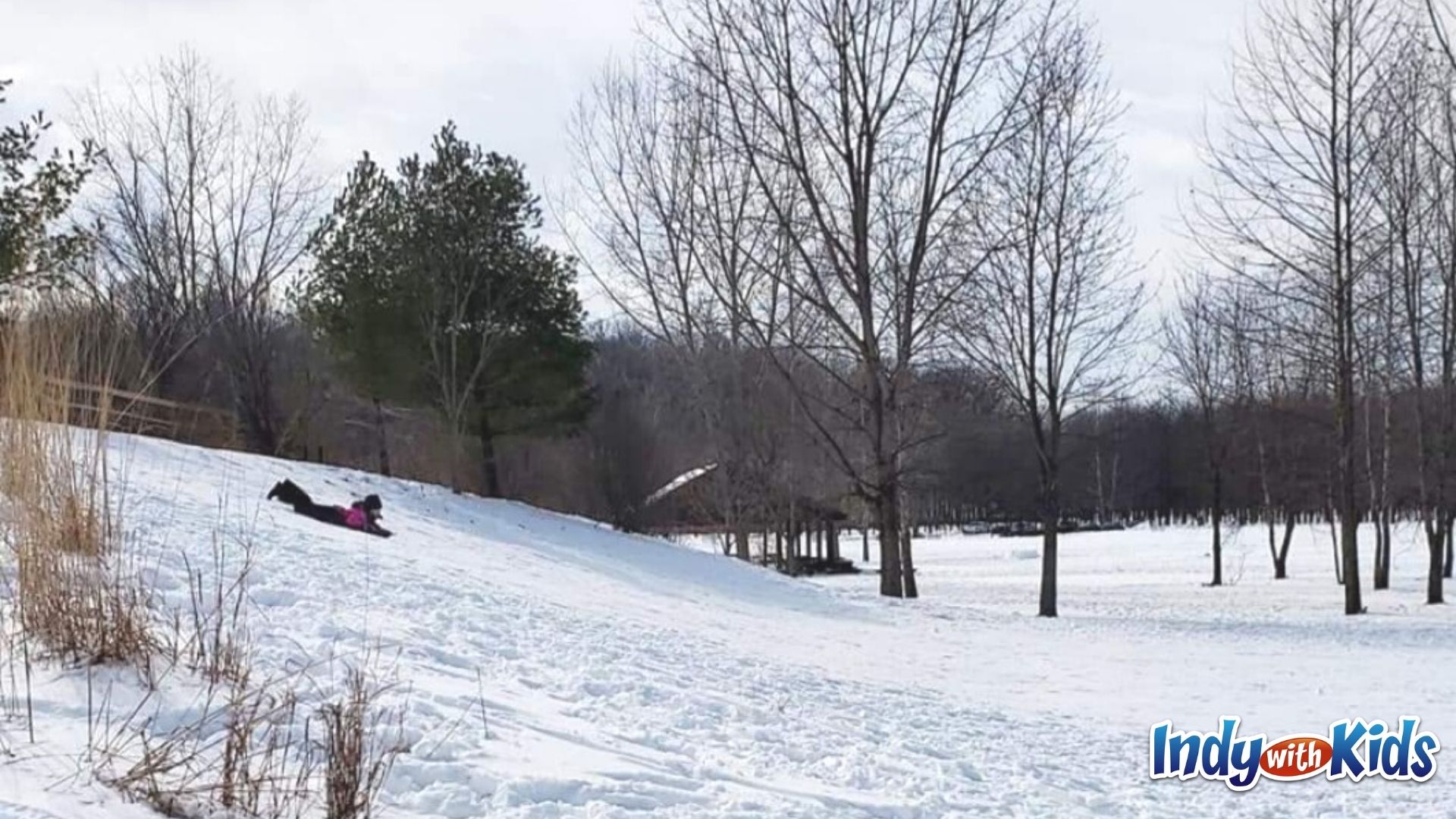 A child on a sled slides down a snowy hillside in Fort Harrison State Park.