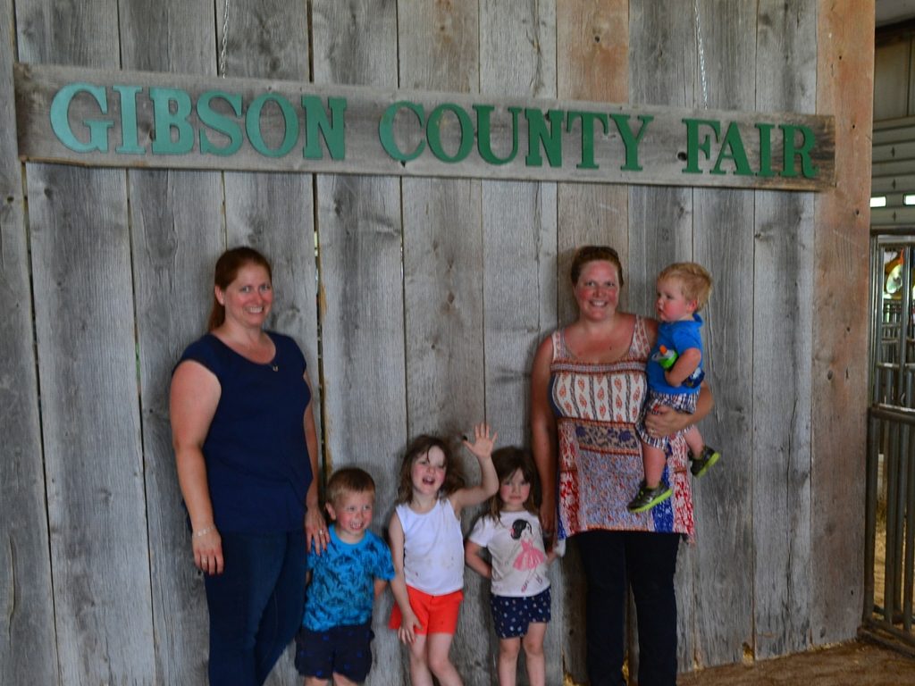 gibson county fair feutz cattle farm
