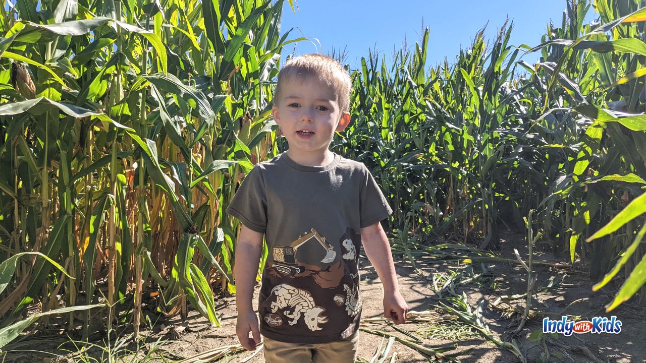 Get lost in the corn maze at Smith Family Farms Pumpkin Patch.