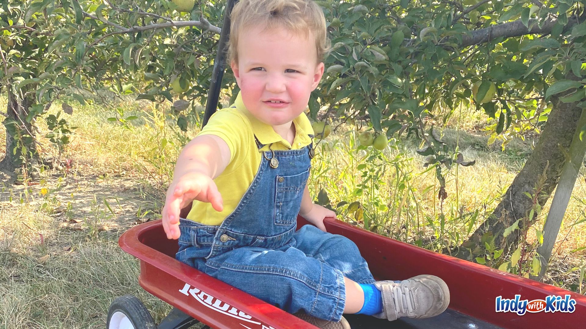 Best Apple Orchards for Babies: Tuttle Orchards