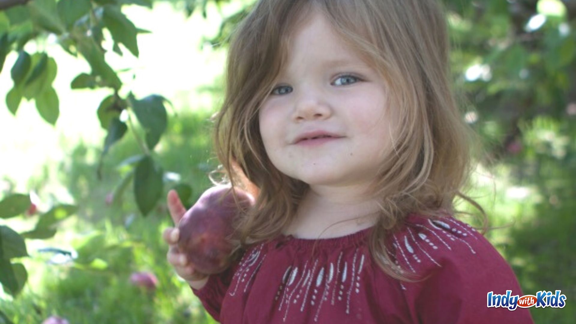 Best Apple Orchards for Babies: Pleasant View Orchard