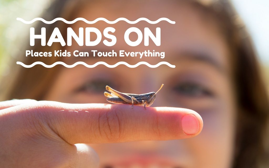 Hands On: Ten Places in Indy Where Kids Can Touch Everything