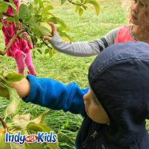 apple orchards indianapolis indy best for babies