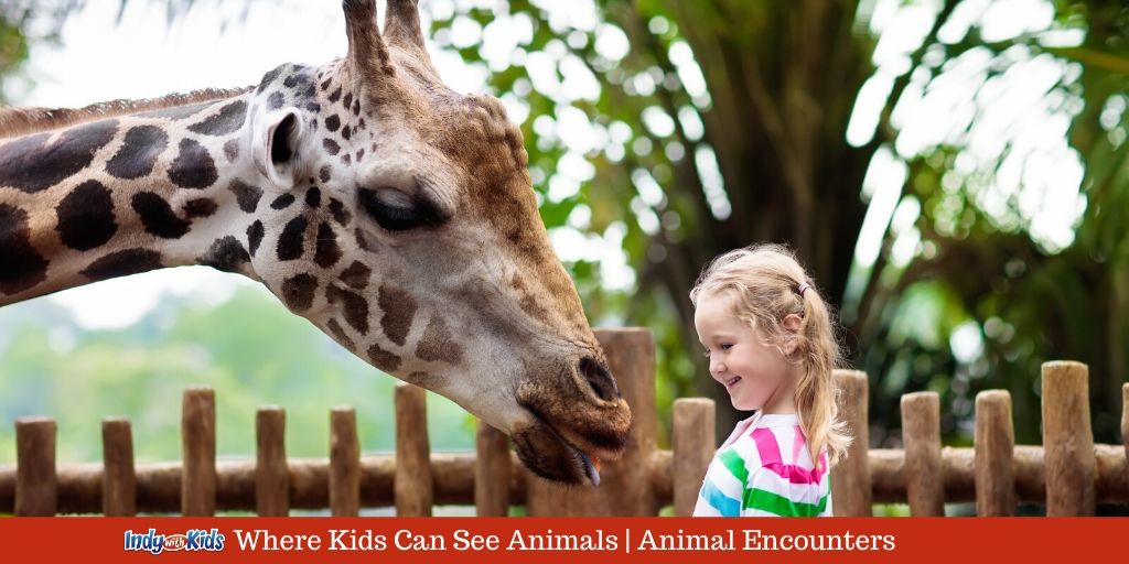 Indy Animal Encounters | Where Kids Can See Animals in Indianapolis