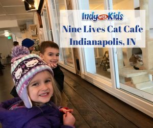 Nine Lives Cat CafeIndianapolis, IN