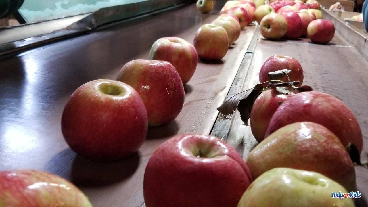 10 Indianapolis Area Apple Orchards for UPick and Fall Fun