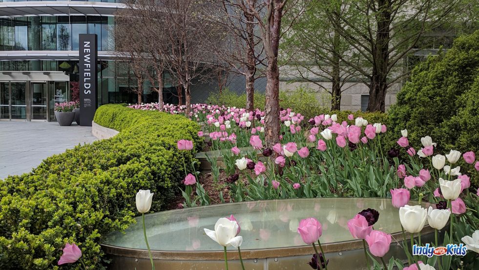 Colorful tulips bloom outside the Indianapolis Museum of Art at Newfields.