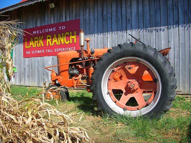 The Ultimate Fall Experience at Lark Ranch