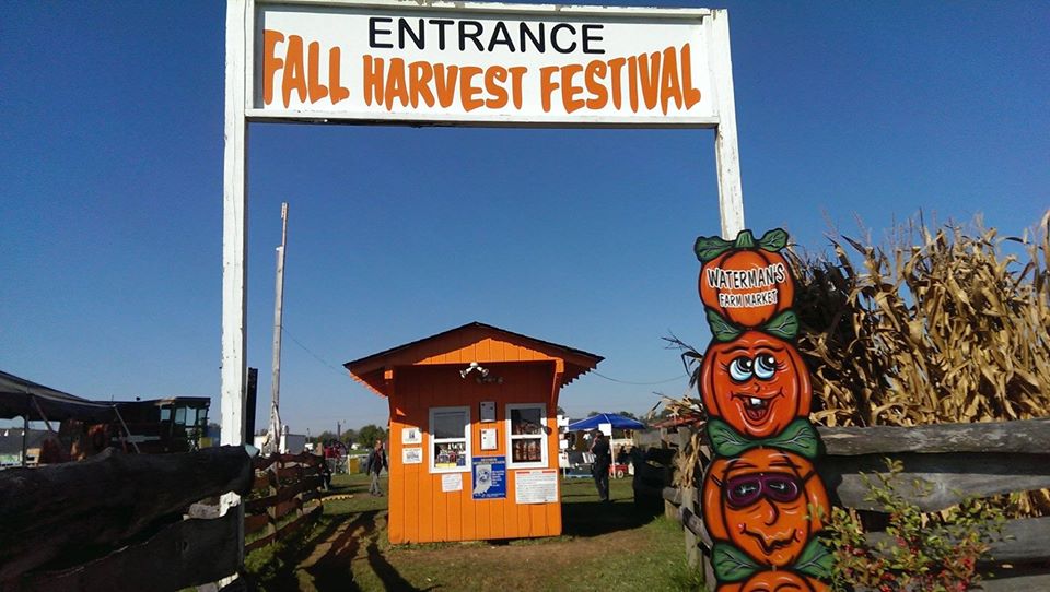 Fun Things to Do in Fall: Head to Waterman's for the Fall Festival.