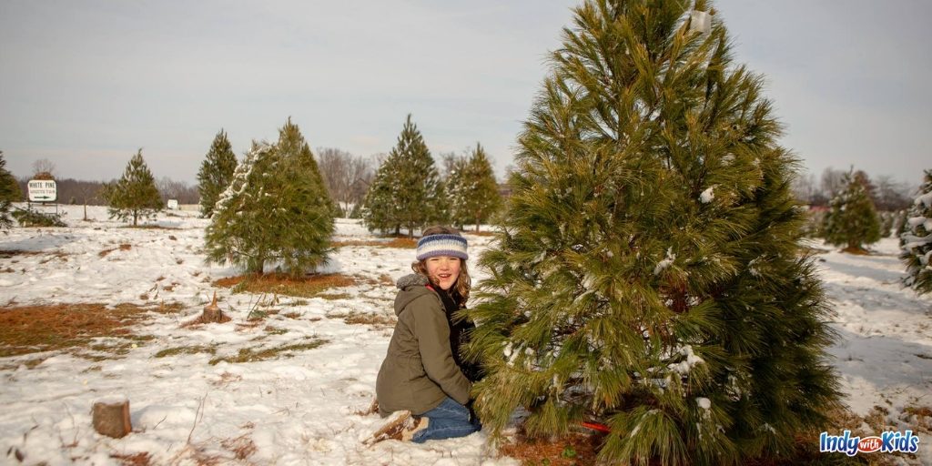 Dull's Tree Farm is one of the most popular places in Central Indiana to cut down a fresh Christmas tree.