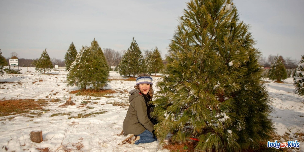 Greenfield holiday events: Local Tree Farms like Sambols Tree Farm will be open after Thanksgiving.