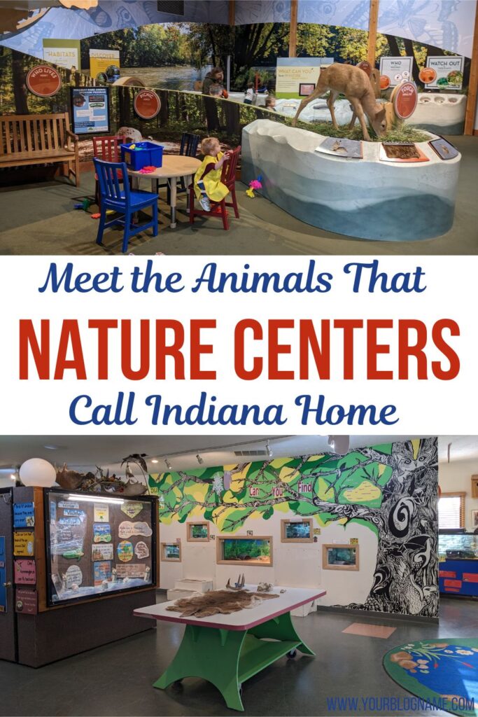 Indy Nature Center Near Me | 10 Fun and Fascinating Nature Centers