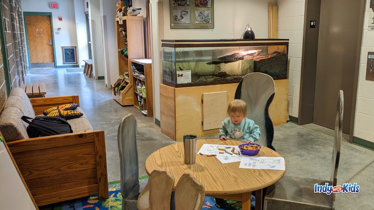 A toddler colors nature-themed pictures near an aquarium in Eagle Creek Park's Earth Discovery Center.