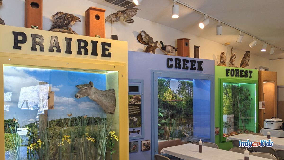 Homeschool Activities Near Me: Displays at McCloud Nature Park's Nature Center feature information about different local ecosystems.