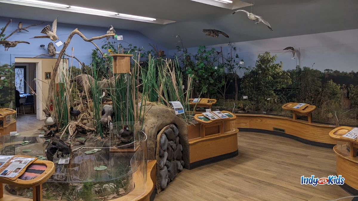 A nature center filled with models of Indiana natural bird habitats, including real stuffed birds. Eagle Creek Park has some of our favorite outdoor activities for kids.