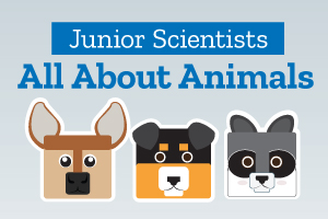 Junior Scientists: All About Animals | Indy Public Libraries