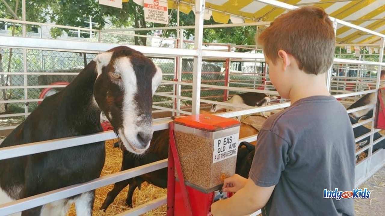Get discounts on Indiana State Fair tickets, food, midway rides, and more!