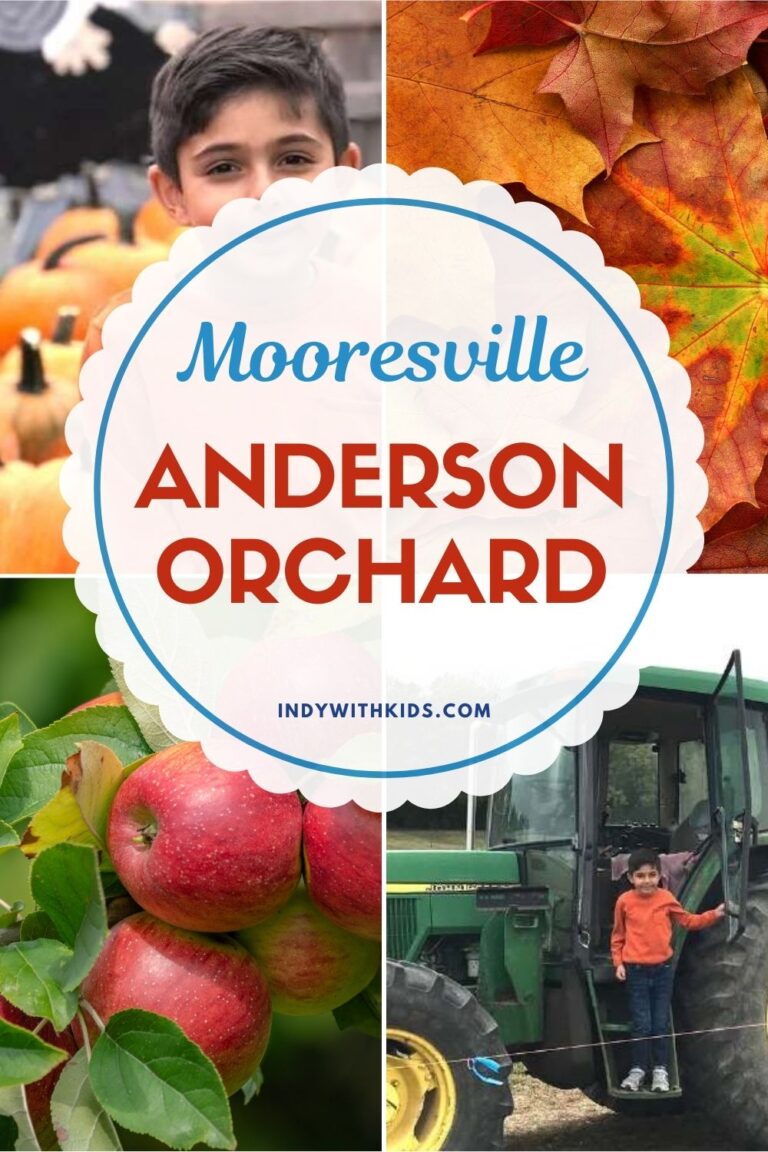 Anderson Orchard Indy with Kids