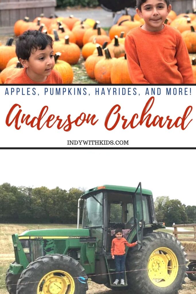 Anderson Orchard Indy with Kids