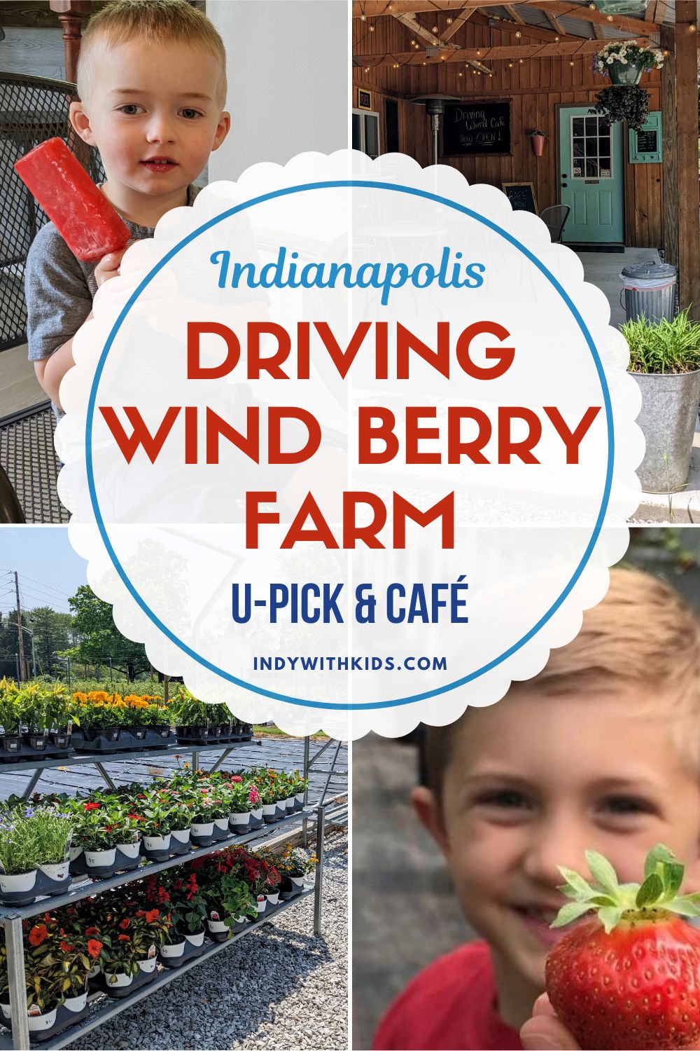 Driving Wind Berry Farm offers U-pick, a farm store, a cafe, and more!