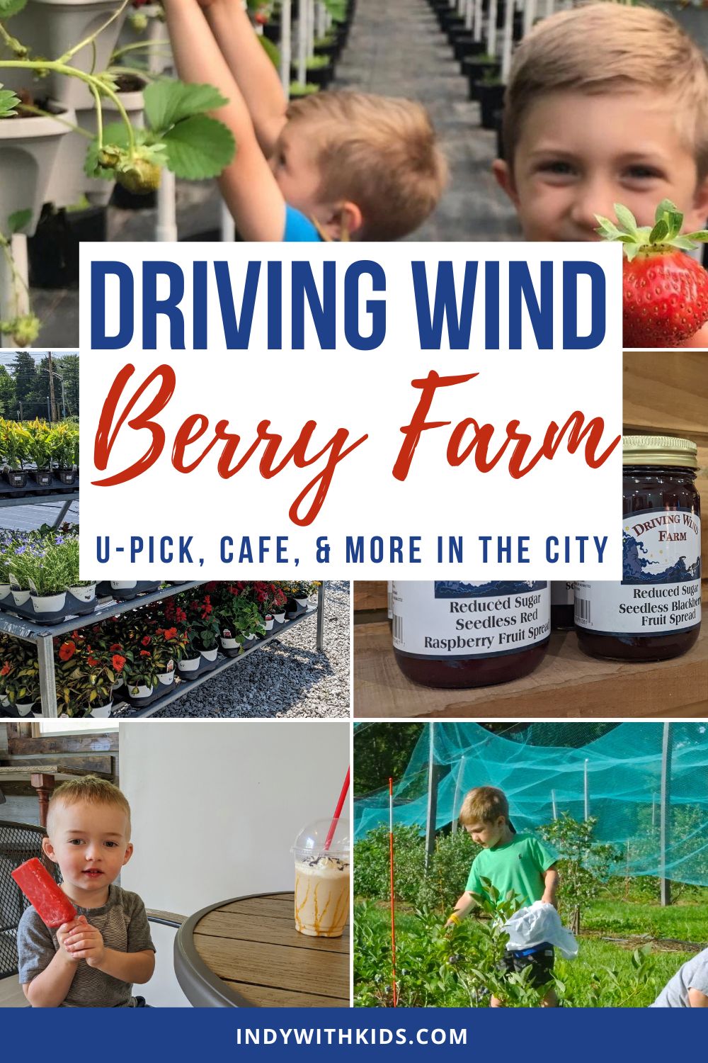 Driving Wind Berry Farm offers U-pick, a farm store, a cafe, and more!