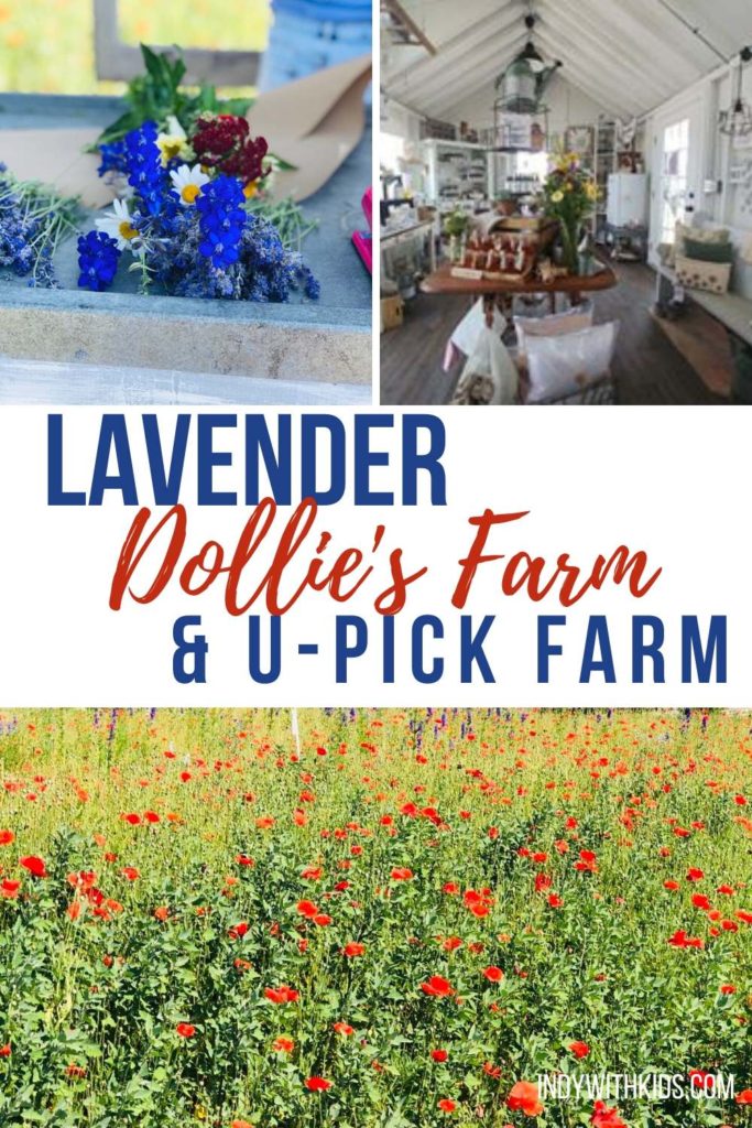 Dollie’s Farm A Lavender & UPick Flower Farm