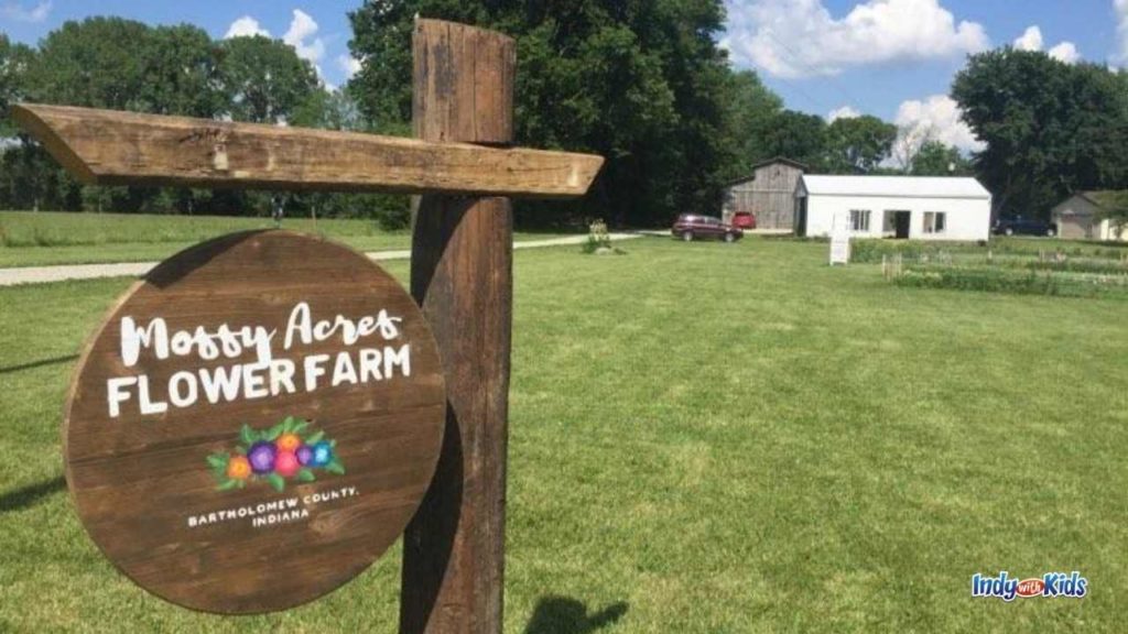 Mossy Acres Flower Farm UPick Flower Farm