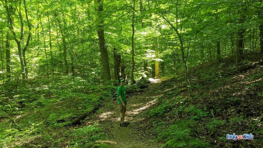 34 Adventurous Reasons to Get an Indiana State Park Pass LaptrinhX / News
